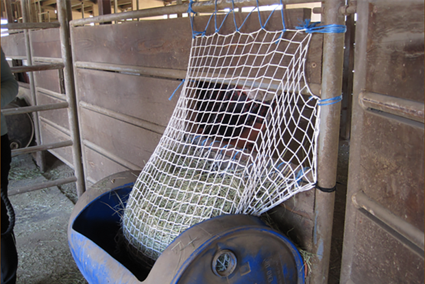 Freedom Feeder 6-Flake Extended Day/2-String Bale Net, slow feeder