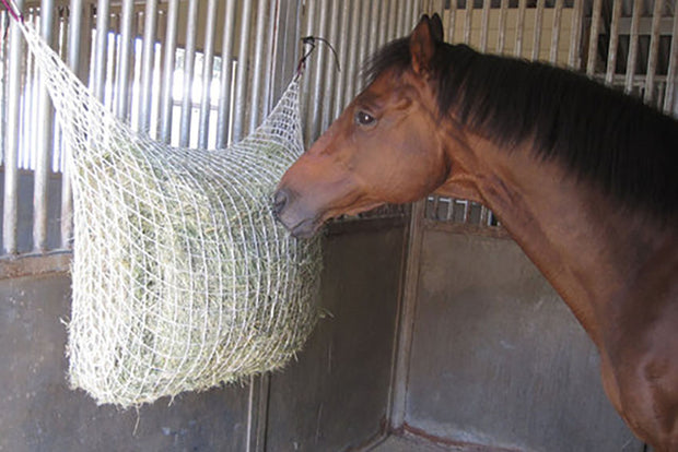 Freedom Feeder 6-Flake Extended Day/2-String Bale Net, slow feeder