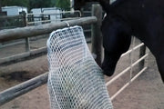 Freedom Frame with Freedom Feeder