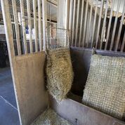 Freedom Feeder Frame