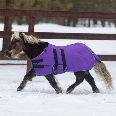 Mini 300G Heavy Weight Horse Winter Turnout Blanket - Waterproof & Breathable