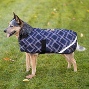 Winter Dog Coat - 180G Medium Weight - Waterproof & Breathable