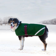 Winter Dog Coat - 180G Medium Weight - Waterproof & Breathable