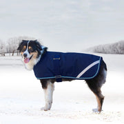 Winter Dog Coat - 180G Medium Weight - Waterproof & Breathable