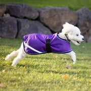 Winter Dog Coat - 180G Medium Weight - Waterproof & Breathable