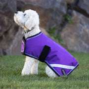 Winter Dog Coat - 180G Medium Weight - Waterproof & Breathable