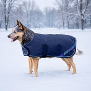 New Winter Dog Coat - 180G Medium Weight - Waterproof & Breathable