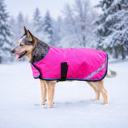 New Winter Dog Coat - 180G Medium Weight - Waterproof & Breathable