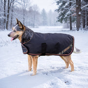 New Winter Dog Coat - 180G Medium Weight - Waterproof & Breathable