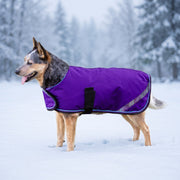 New Winter Dog Coat - 180G Medium Weight - Waterproof & Breathable