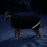 New Winter Dog Coat - 180G Medium Weight - Waterproof & Breathable