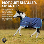 1200D Adjustable Foal 180G Medium Weight Winter Turnout Blanket - Waterproof & Breathable
