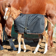 1200D Adjustable Foal 180G Medium Weight Winter Turnout Blanket - Waterproof & Breathable