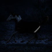New 1200D Adjustable Foal 180G Medium Weight Winter Turnout Blanket - Waterproof & Breathable