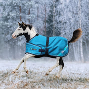 New 1200D Adjustable Foal 180G Medium Weight Winter Turnout Blanket - Waterproof & Breathable