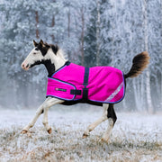 New 1200D Adjustable Foal 180G Medium Weight Winter Turnout Blanket - Waterproof & Breathable
