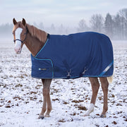 New 1200D Adjustable Juvenile 180G Medium Weight Winter Turnout Blanket - Waterproof & Breathable (Copy)