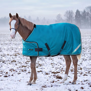 New 1200D Adjustable Juvenile 180G Medium Weight Winter Turnout Blanket - Waterproof & Breathable (Copy)