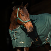 Horse Poly Cotton Day Sheet - Breathable Stable Sheet
