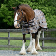 Draft Horse Protective Fly Sheet  - 73% UV Protection