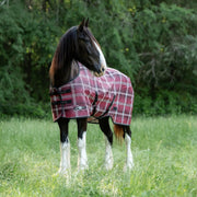 Draft Horse Protective Fly Sheet  - 73% UV Protection