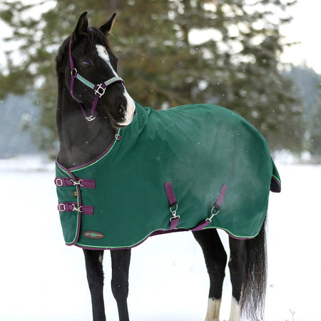 1200D Midweight 180g Horse Winter Turnout Blanket - Waterproof & Breathable
