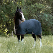 Draft Horse Lightweight 80g Winter Turnout Blanket - Waterproof & Breathable