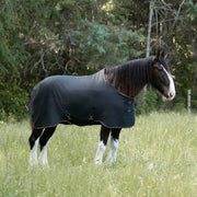 Draft Horse Midweight 180g Winter Turnout Blanket - Waterproof & Breathable