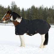 Draft Horse Midweight 180g Winter Turnout Blanket - Waterproof & Breathable