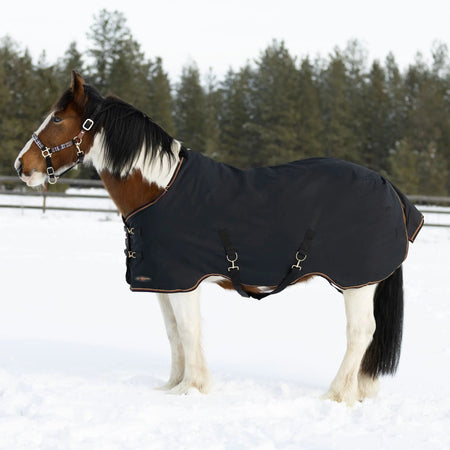Draft Horse Midweight 180g Winter Turnout Blanket - Waterproof & Breathable