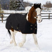 Draft Horse Heavyweight 300g Winter Turnout Blanket - Waterproof & Breathable