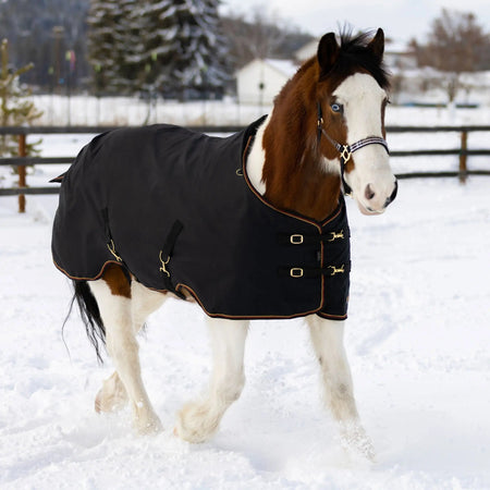 Draft Horse Heavyweight 300g Winter Turnout Blanket - Waterproof & Breathable
