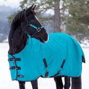 1200D Heavyweight 300g Horse Winter Turnout Blanket - Waterproof & Breathable