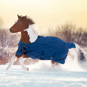 Pony Midweight 180g Horse Winter Turnout Blanket - Waterproof & Breathable