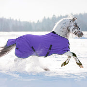 Pony Heavyweight 300g Horse Winter Turnout Blanket - Waterproof & Breathable