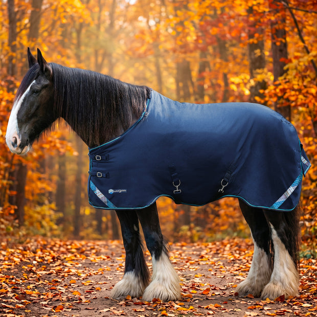 New Draft Horse Lightweight 80g Winter Turnout Blanket - Waterproof & Breathable