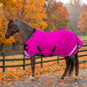 New Pony Lightweight 80g Horse Winter Turnout Blanket - Waterproof & Breathable