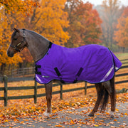 New Pony Lightweight 80g Horse Winter Turnout Blanket - Waterproof & Breathable