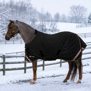 New Pony Midweight 180g Horse Winter Turnout Blanket - Waterproof & Breathable
