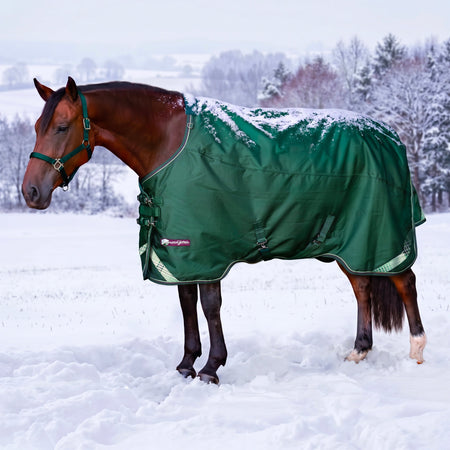 1200D Heavyweight 300g Euro Cut Horse Winter Turnout Blanket - Waterproof & Breathable
