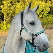 Reflective Nylon Halter with Textliene
