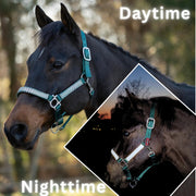 Reflective Nylon Halter with Textliene