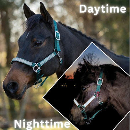 Reflective Nylon Halter with Textliene