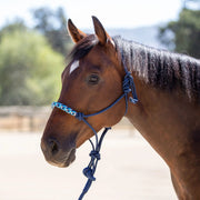 Clinician Training Rope Halter with Braided Nose