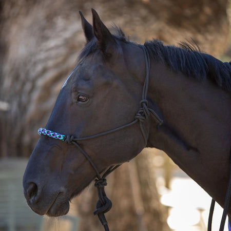 Clinician Training Rope Halter with Braided Nose