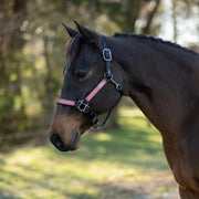 Reflective Nylon Halter with Textliene