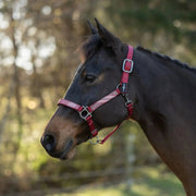 Reflective Nylon Halter with Textliene