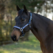 Reflective Nylon Halter with Textliene