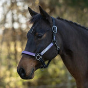 Reflective Nylon Halter with Textliene
