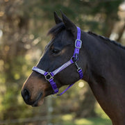 Reflective Nylon Halter with Textliene
